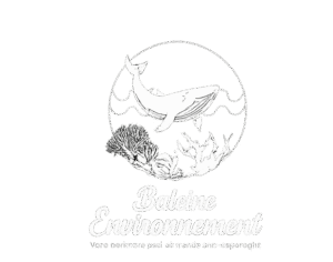 Baleine Environnement